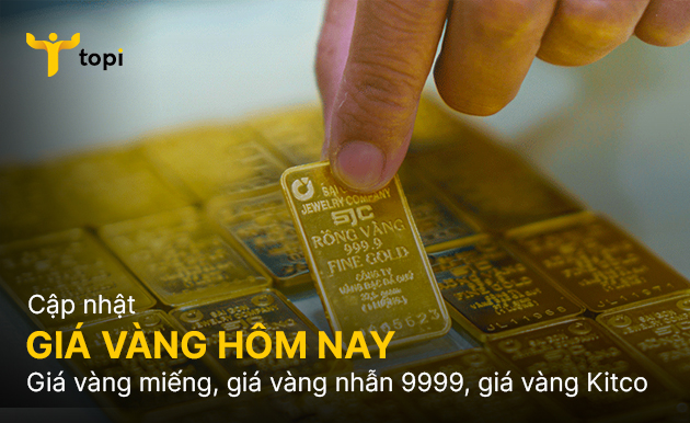 https://devstatic.topi.vn/thumb_article/0/0/0/1/RqO0aQJBFlrWFamTaNkJdb3vAQDxZc8akMtomy9M.jpg?w=686&h=386&v=2022